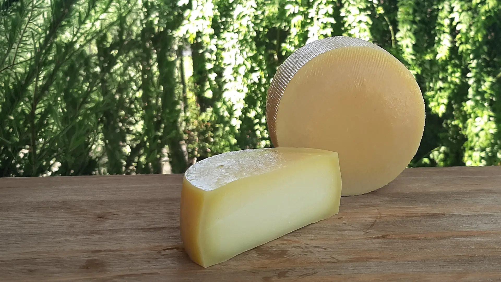 Horma y porción de queso de oveja semiduro Tambo Blanca Grande
